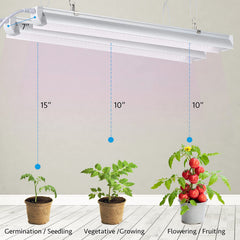 TYAGMAM mounted on a multi-tier grow rack for uniform plant coverage
