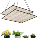 Uallhome front panel showing compact sunlike LEDs and improved plant visibility