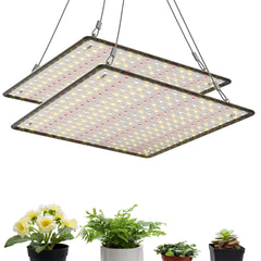 Uallhome front panel showing compact sunlike LEDs and improved plant visibility