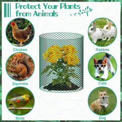 UJG plant cage around seedling in garden demonstrating animal protection