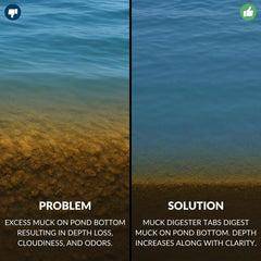 UltraClear treated pond before and after showing clearer water benefit