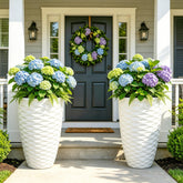 Ultym front view of two planters showing modern curb appeal and stability