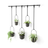 Umbra Triflora front view mounted in window showing five planters and space-saving benefit