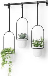 Umbra Triflora front view showing three hanging planters, maximizes window space