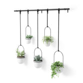 Umbra Triflora front view showing five hanging planters and modern style benefit