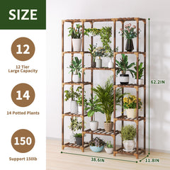 Uneedem on balcony with mixed plants demonstrating outdoor display versatility