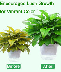 USEDGDIG being sprinkled into a container plant to improve foliage growth and greening