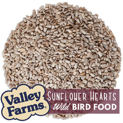 Valley Farms closeup of sunflower hearts texture and rich oil content for bird energy