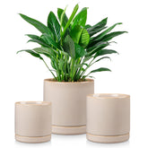 vancasso front view of three gray ceramic planters showing minimalist look and cohesion