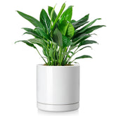 vancasso front view white ceramic planter shows clean modern styling and durability