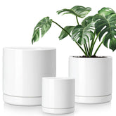 vancasso front view of three white ceramic planters showing clean modern look and coordination