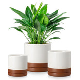 vancasso front view of three khaki ceramic planters showing size variety and harmony