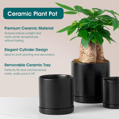 vancasso small planter with succulent demonstrating compact size and tidy display