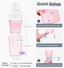 Vandorelle clear inner cup revealing developing roots and easy visual monitoring benefit