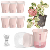 Vandorelle front view pink planter showing neat design and easy care benefit