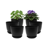 Vanslogreen front view of six 8-inch pots showing uniform set benefit