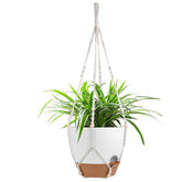Vanslogreen front view of ivory white hanging planter showing shape and color benefits