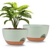 Vanslogreen front view of two 12 inch green planters showing clean minimalist styling and space-saving design