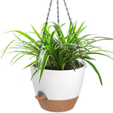 Vanslogreen front view white hanging planter showing style and space-saving benefit