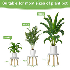 Vecxoty three-stands height comparison showing sizing for various pots