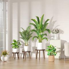 Vecxoty stands holding plants in living room adding layered display benefit