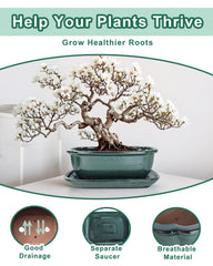 vensovo bonsai in pot styled on table demonstrating attractive home display