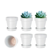 vensovo front view of six white terracotta pots showing organized set and clean finish