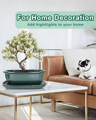vensovo pot glaze close-up revealing smooth ceramic finish and durability