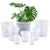 Vesici front view of 24 clear nursery pots showing organized sizes and packaging benefit visibility
