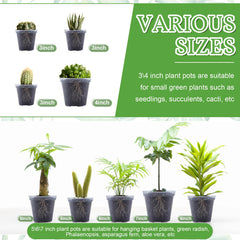 Vesici in-use with succulent being potted to demonstrate flexibility and reusability