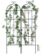 VEVOR trellis front view showing decorative support and curb appeal