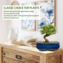 Villa Como pot beside hand and ruler demonstrating true size and practical scale benefit