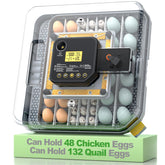 VIOPUMPO front view showing incubator panels and arranged egg trays for organized hatching