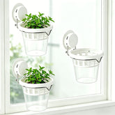 VirgoLeo front view of three clear window planters showing neat modern display and space saving benefit