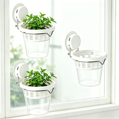 VirgoLeo front view of three clear window planters showing neat modern display and space saving benefit