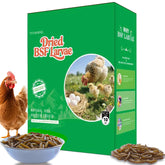 VITAMORSEL front packaging showing combo benefits and bulk size