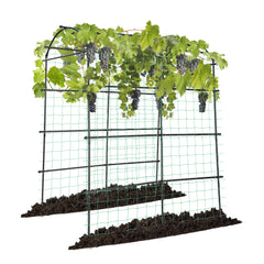 VIVOSUN arch trellis front view showing full black frame and tunnel benefit