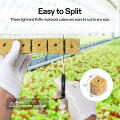 VIVOSUN cube placed in net pot demonstrating transplant convenience