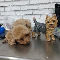 WANLIAN Yorkie next to common items showing size and scale benefit