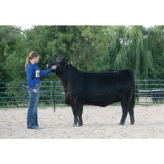Weaver Livestock glossy black buckle detail showing secure, low-profile hardware