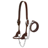 Weaver Livestock front view medium brown halter showing polished hardware and neat fit