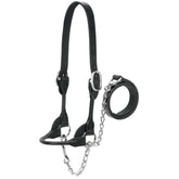 Weaver Livestock front view of black rounded show halter showcasing fit and finish