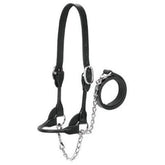 Weaver Livestock halter front view showing rounded noseband and polished finish for neat presentation