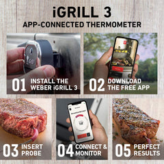 Weber iGrill 3 stainless probes close-up showing durable probe tips