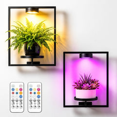 wemidels front view frame plant holder showing clean wall display and tidy cords
