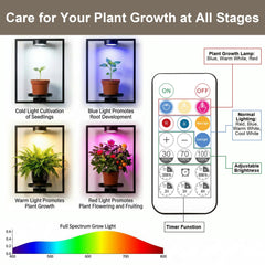 wemidels pot and plant on shelf illustrating real plant fit and decorative effect