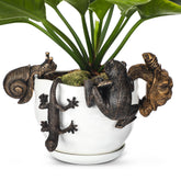 Weysat front view of all four bronze resin animals showing decorative set