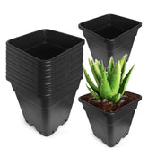 WFLNHB front view of ten square pots showing compact storage benefit