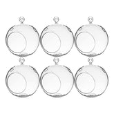 WGVI front view clear glass terrarium showing shape and hanging loop benefit aesthetic display