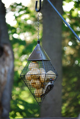 Wildlife Sciences suet ball in feeder attracting woodpecker and songbirds
